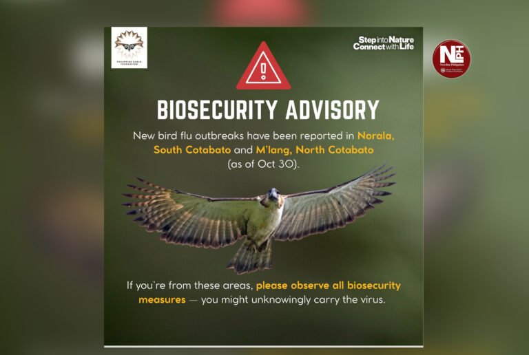 Eagle Center steps up precautions; guests from Cotabato advised to defer visits