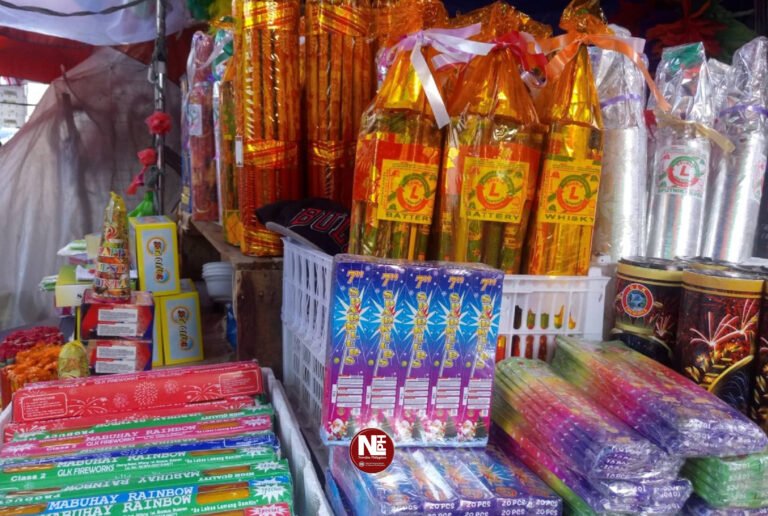 DOLE steps up safety checks on pyrotechnics firms as holiday risks rise, warns of heavy social costs of unsafe practices