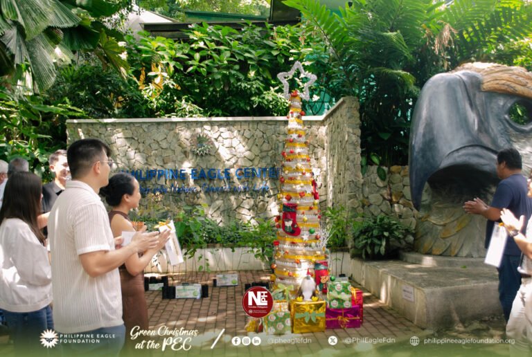PEF turns holidays ‘green,’ rallies public to protect Philippine Eagle