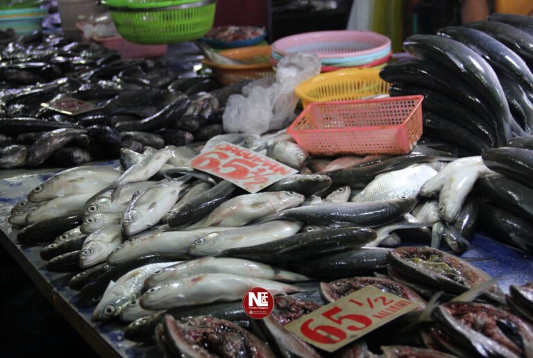 Steady fish supply seen easing prices for N. Mindanao households