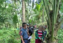 Laborer nakuryentehan, Patay
