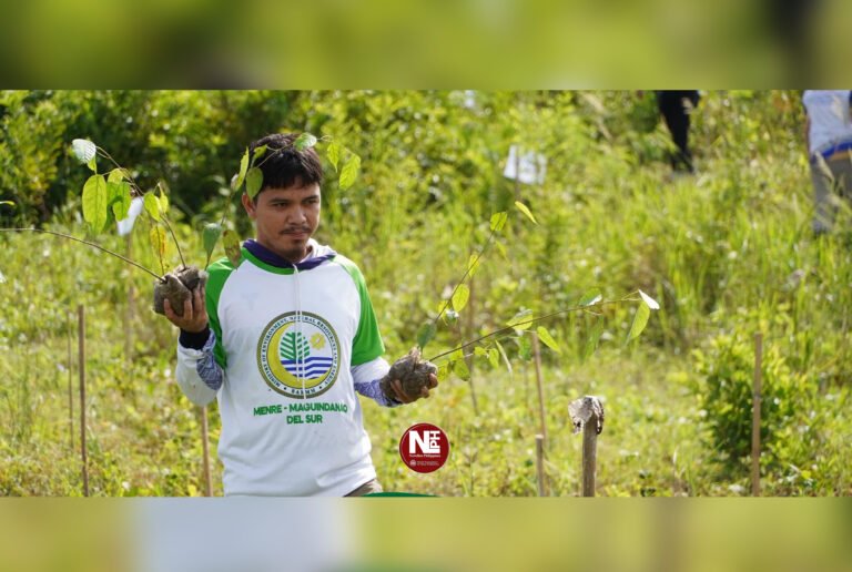 BARMM allots ₱168M to reforest 2,600 hectares, generate green jobs and support climate goals