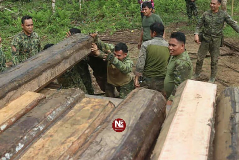 Illegally cut lauan logs seized in former Abu Sayyaf stronghold in Basilan