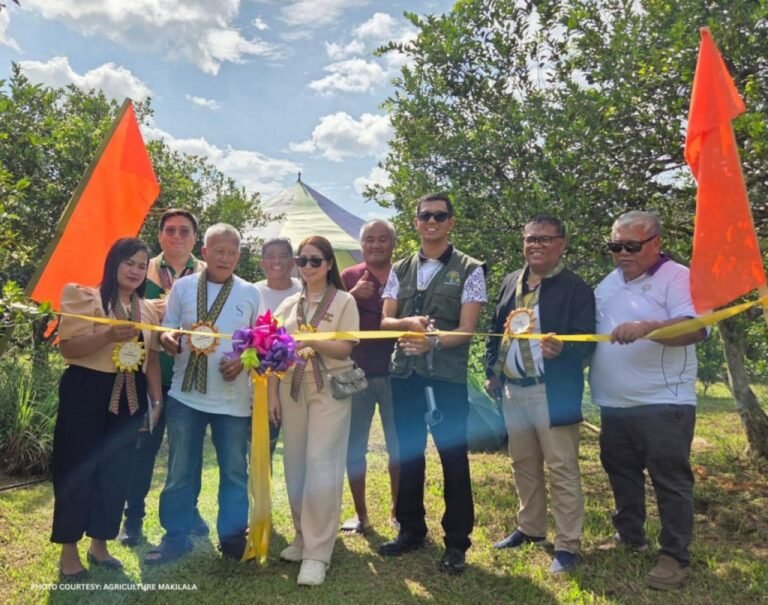 ATI plants seeds of innovation—but will Cotabato farmers reap the rewards?