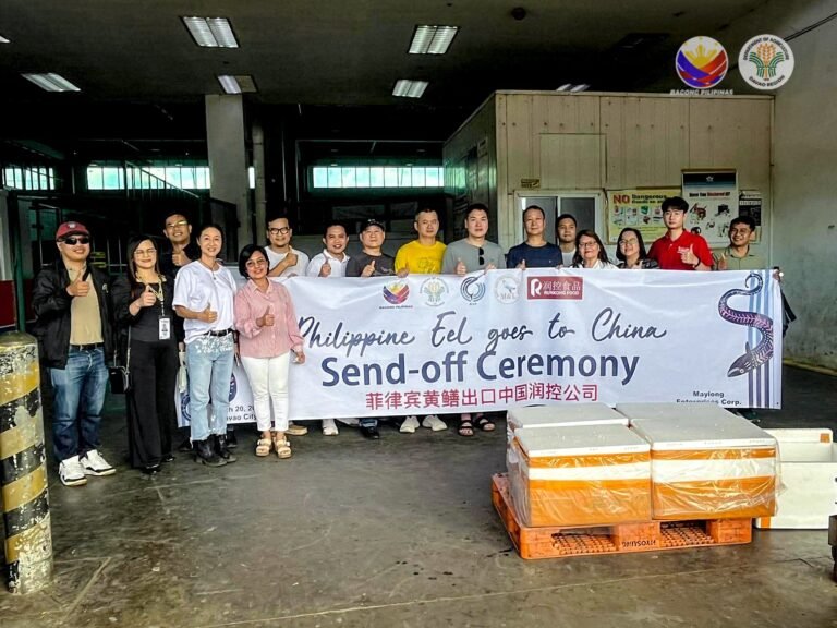 Eel export opens China door for Davao aquaculture