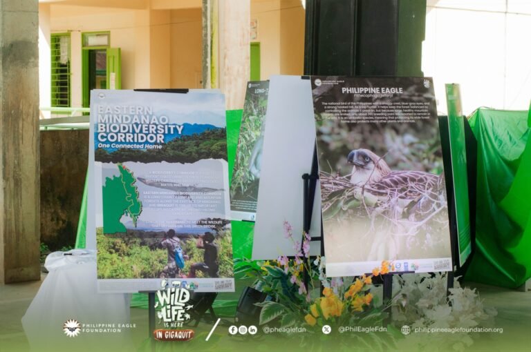 New Philippine eagle nest found in Surigao forests, locals urged to defend habitat