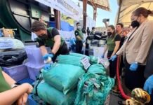 4.56-B Worth of Illegal Drugs Destroyed in Cavite; Authorities Highlight Toll on Communities