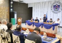 Marantan to LGUs: Police Are Professionals, Not Drivers or Private Armed Groups