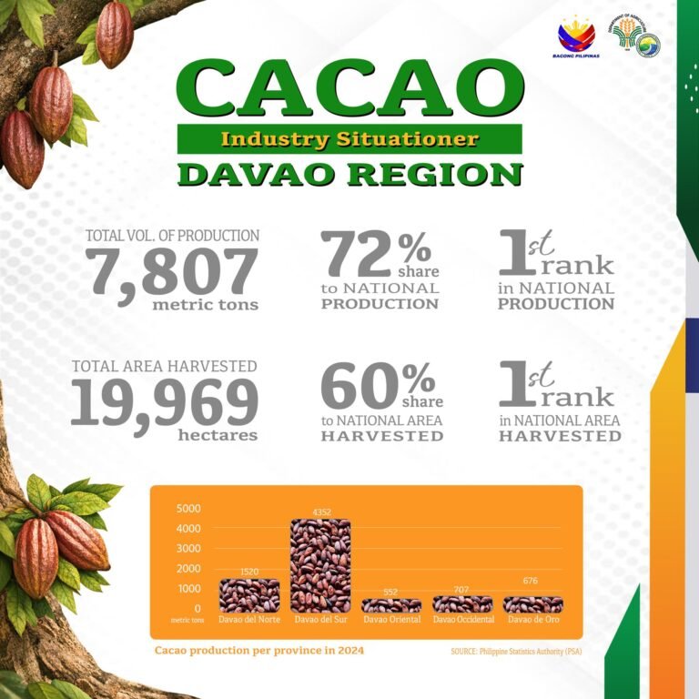 Davao Region Remains PH Cacao Powerhouse, but Farmers Face Growing Gaps