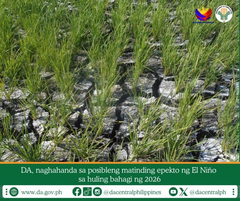 Caraga maps drought-prone farms as El Niño threat builds