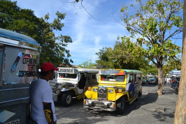 Palace Orders 20% Fare Cut Nationwide to Cushion Fuel Shock