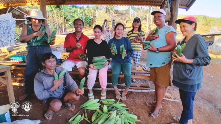 State support boosts incomes—but questions remain on sustainability for Dinagat farmers, fishers