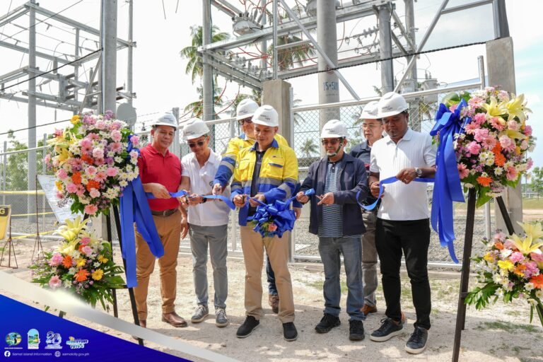 Samal Submarine Cable Delivers Power—But Capacity Outpaces Current Demand