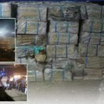 P50-M smuggling busts show enforcement gains—but expose scale of illicit trade