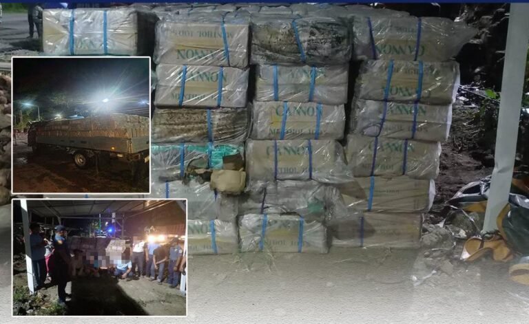 P50-M smuggling busts show enforcement gains—but expose scale of illicit trade