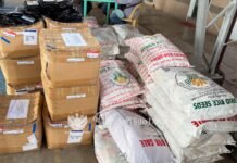 DA pours rice aid into Davao farms ahead of planting season