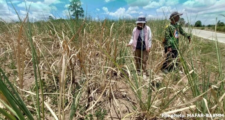 BARMM Declares State of Calamity Amid Oil Crisis, El Niño Threat