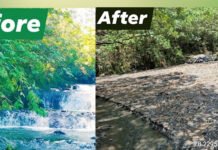 Malaybalay faces test of balancing development and environmental protection