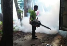 Davao del Sur cuts work hours as dengue cases climb, children hardest hit