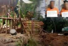 PNP strengthens forest security drive, orders closer coordination with DENR