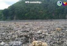 When the Sea Moved Back: Quake Reshapes Mindanao Coastline