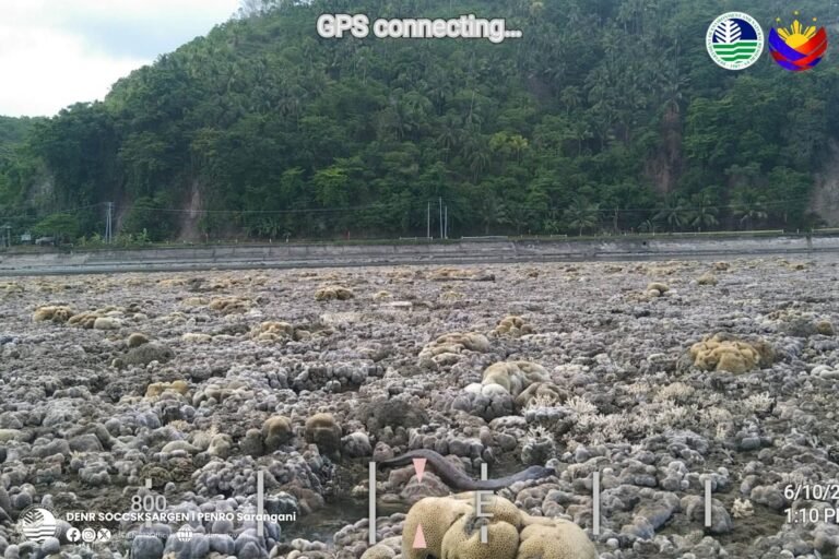 When the Sea Moved Back: Quake Reshapes Mindanao Coastline