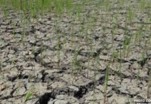 Northern Mindanao races to prepare as El Niño threat looms