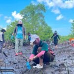 3,000 mangroves planted in Tawi-Tawi as communities fight coastal threats