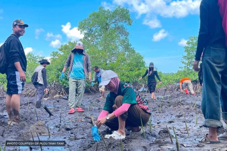 3,000 mangroves planted in Tawi-Tawi as communities fight coastal threats