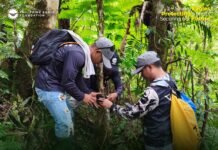 Forest Guardians of Mt. Apo: Indigenous Volunteers Lead the Fight to Protect the Philippine Eagle