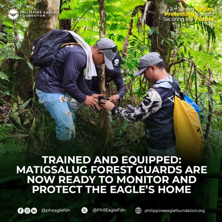Forest Guardians of Mt. Apo: Indigenous Volunteers Lead the Fight to Protect the Philippine Eagle