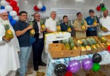 Philippine pineapples make sweet comeback to UAE shelves