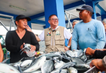 DA Chief Eyes February 2027 Completion of ₱132-M Malalag Fish Port Expansion