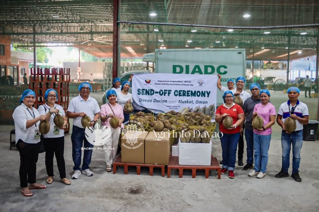 Davao durian breaks into Oman market with first 1-ton trial shipment