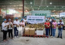 Davao durian breaks into Oman market with first 1-ton trial shipment