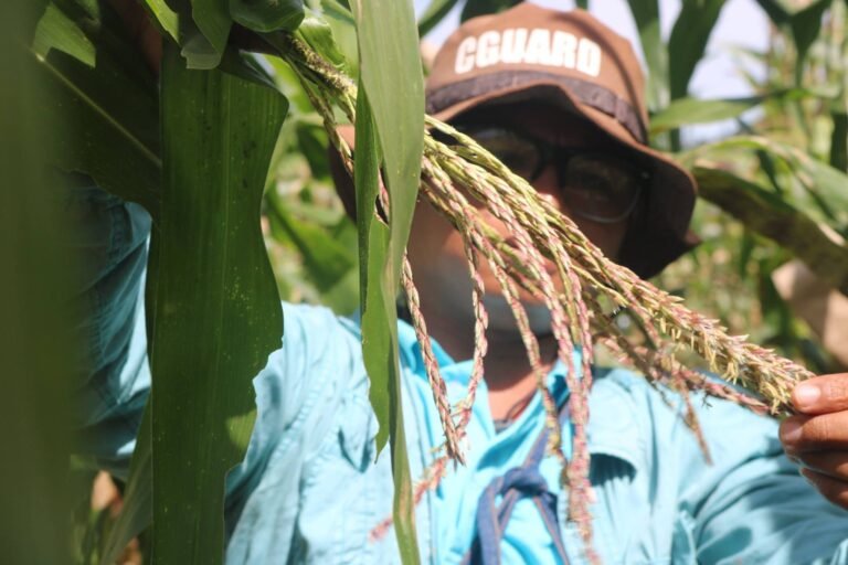 PCC, DA-CAR Hold Dialogue to Strengthen Fair Competition in Highland Vegetable Supply Chain