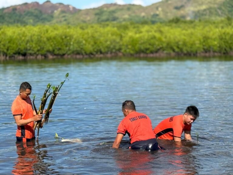 3,000 mangroves planted, but survival is the real test