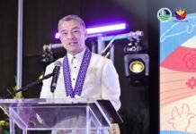 DENR chief: ASEAN parks need more than protected status to stop biodiversity loss