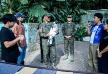 Rescued sea eagle gets second chance at Philippine Eagle Center