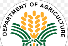 DA seeks billions as El Niño threat exposes irrigation, farm-input gaps