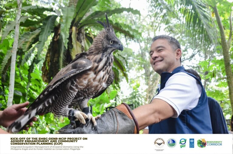 Meet Viggo: The Philippine Eagle on the P1,000 bill