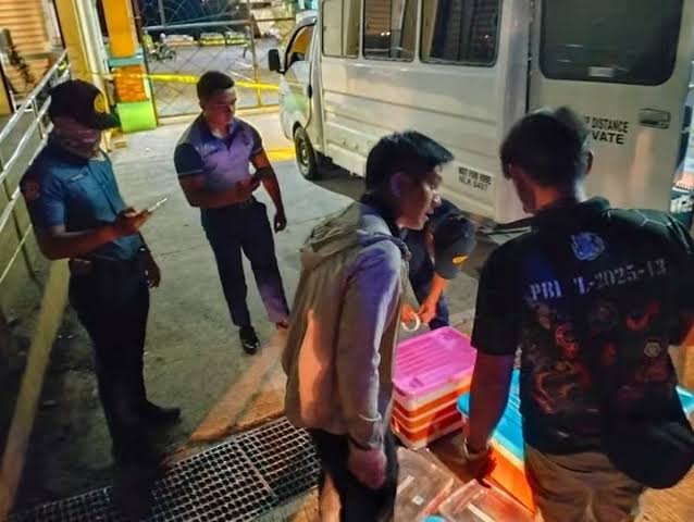 P3.3M wildlife haul exposes security gaps at Surigao port