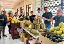 Mga prutas sa Rehiyon XI, gibaligya sa Kadiwa on Wheels sa Quezon City